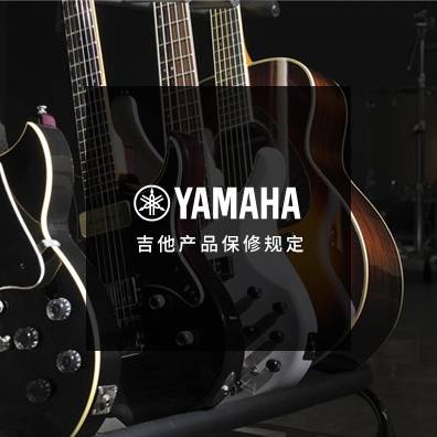 吉他、贝斯和音箱