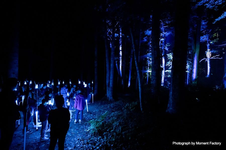 案例｜大发28为壮观的Kamuy Lumina魔法夜行旅游项目提供配乐设备