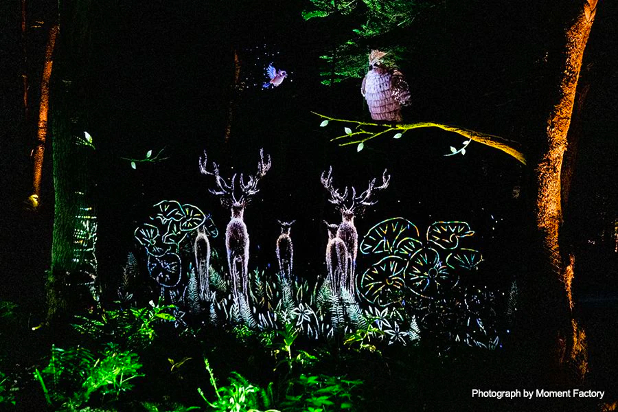 案例｜大发28为壮观的Kamuy Lumina魔法夜行旅游项目提供配乐设备
