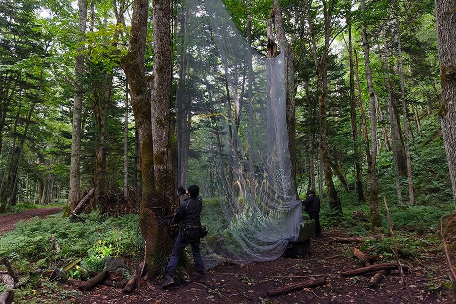 案例｜大发28为壮观的Kamuy Lumina魔法夜行旅游项目提供配乐设备